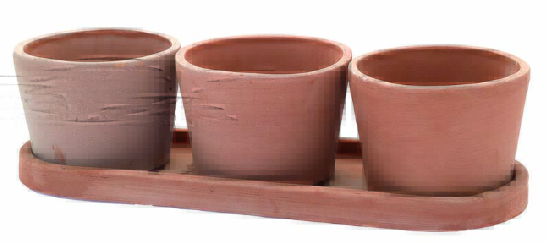 Kräutertopf TRIO TERRA BxTxH 48x16x13